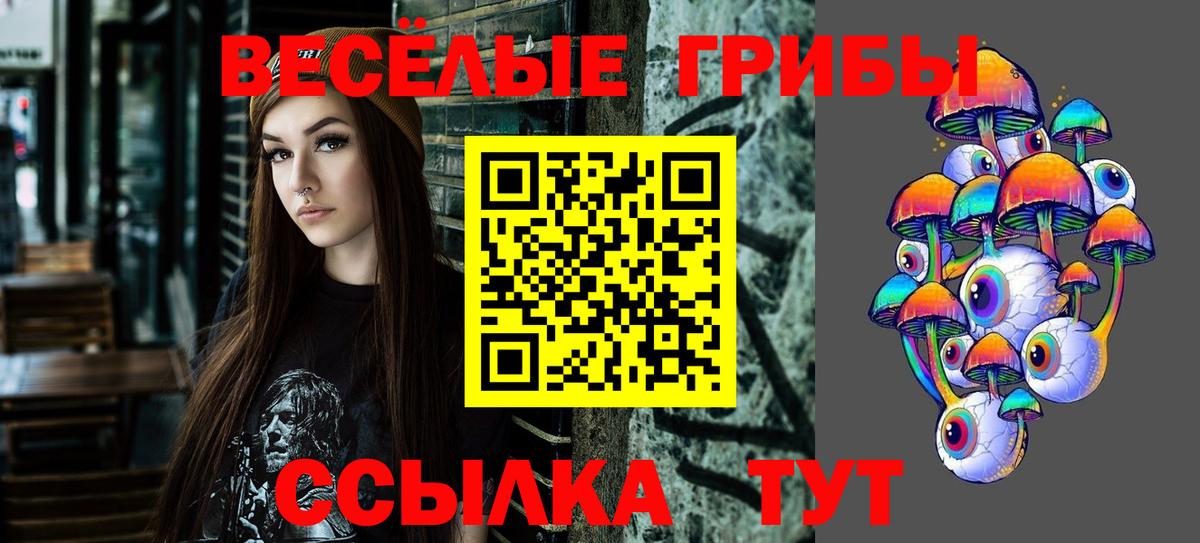 Галлюциногенные грибы мухоморы Менделеевск